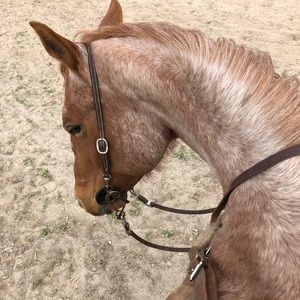 Meet your Posher, Saige